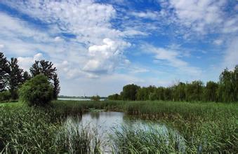 u=921750999,779521372&fm=21&gp=0