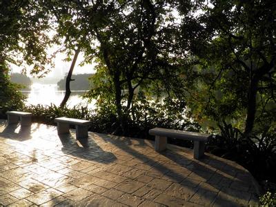 u=1009517876,639440867&fm=23&gp=0