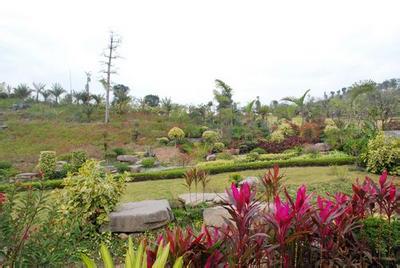 u=3236671681,2781977290&fm=23&gp=0