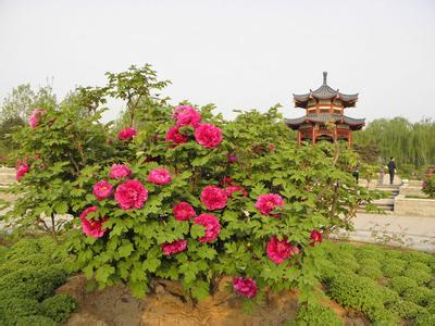 u=1728486487,2460558128&fm=23&gp=0