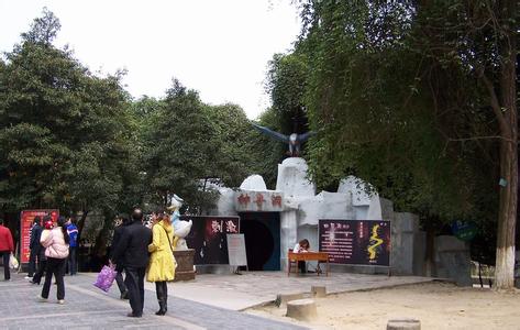 u=2353416635,20882318&fm=23&gp=0