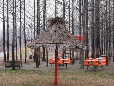 u=1109009000,1364964530&fm=23&gp=0