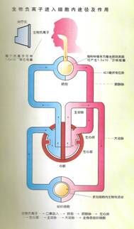 QQ图片20160317092827