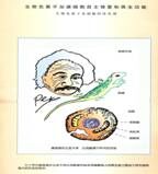 QQ图片20160317093556