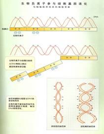 QQ图片20160317094036
